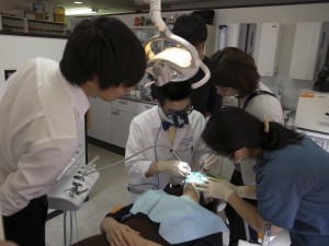 タッカー先生の技術を応用したむし歯治療を見学する